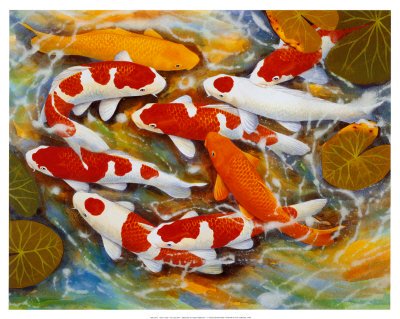 Koi Fish Drawings and Paintings - Buy at Art.com