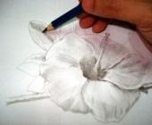 Hawaiian flower sketch 14