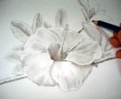 Hawaiian flower sketch 15