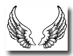 pencil drawing of angel wings